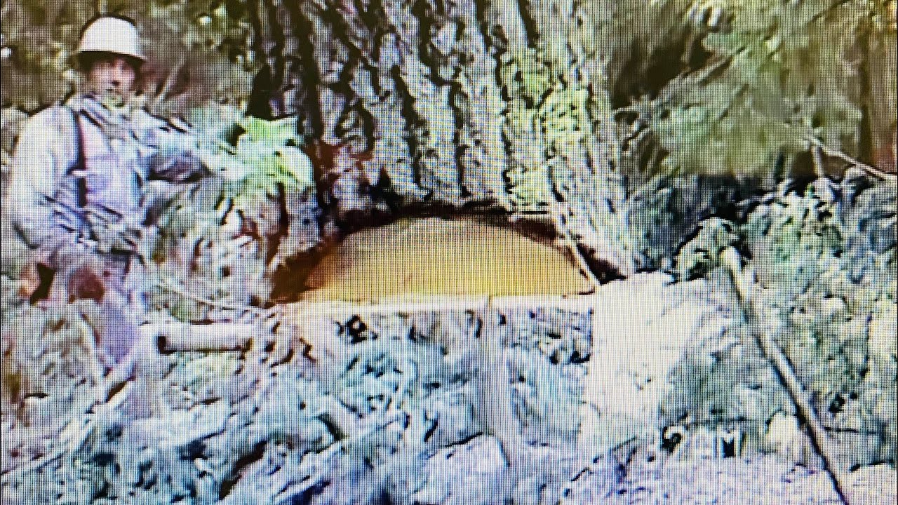 Vintage Logging footage Bainbridge island 1990