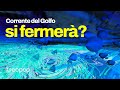 La Corrente del Golfo si fermerà? La situazione attuale e le conseguenze del suo indebolimento