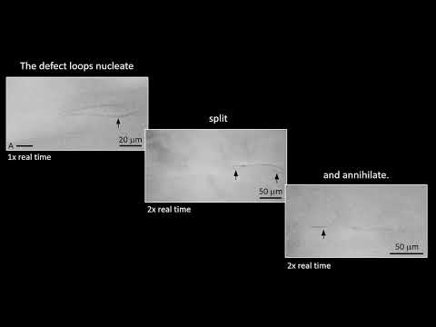 Stripes and loops - defect structures in flowing liquid crystals