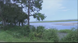 Hogg Hummock listed in Georgia Trust for Historic Preservation 2024 list of 10 'places in peril'
