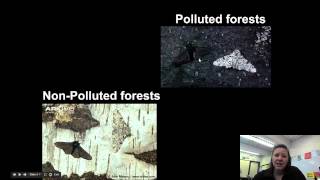 Natural Selection vs Artificial Selection