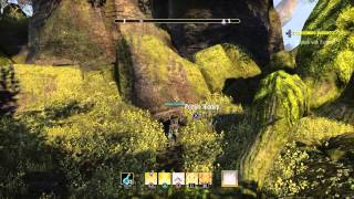 ESO woodworking survey Malabal Tor location