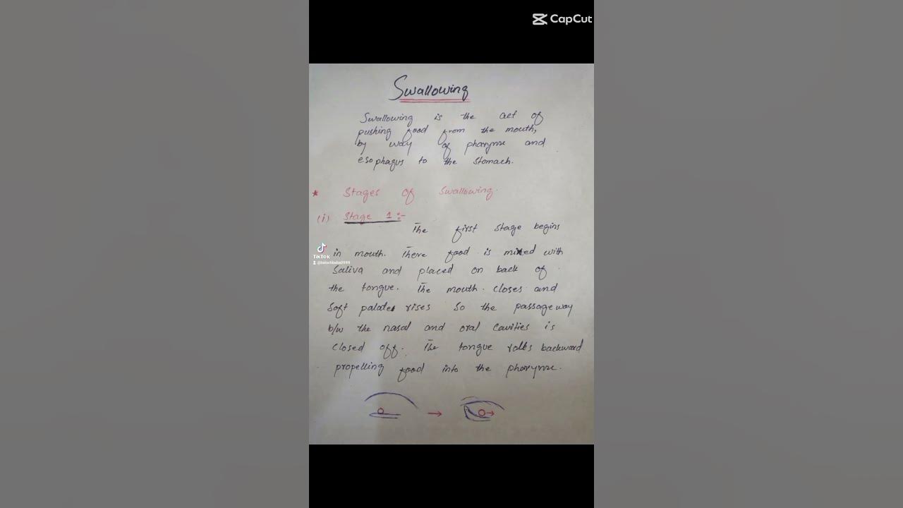 what is swallowing what is the meaning of swallowing stages of swallowingswallowing YouTube