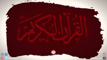القارئ هاني الرفاعي - سورة الإنفطار