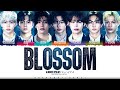 ENHYPEN &#39;BLOSSOM&#39; Lyrics [Color Coded Kan_Rom_Eng] | ShadowByYoongi