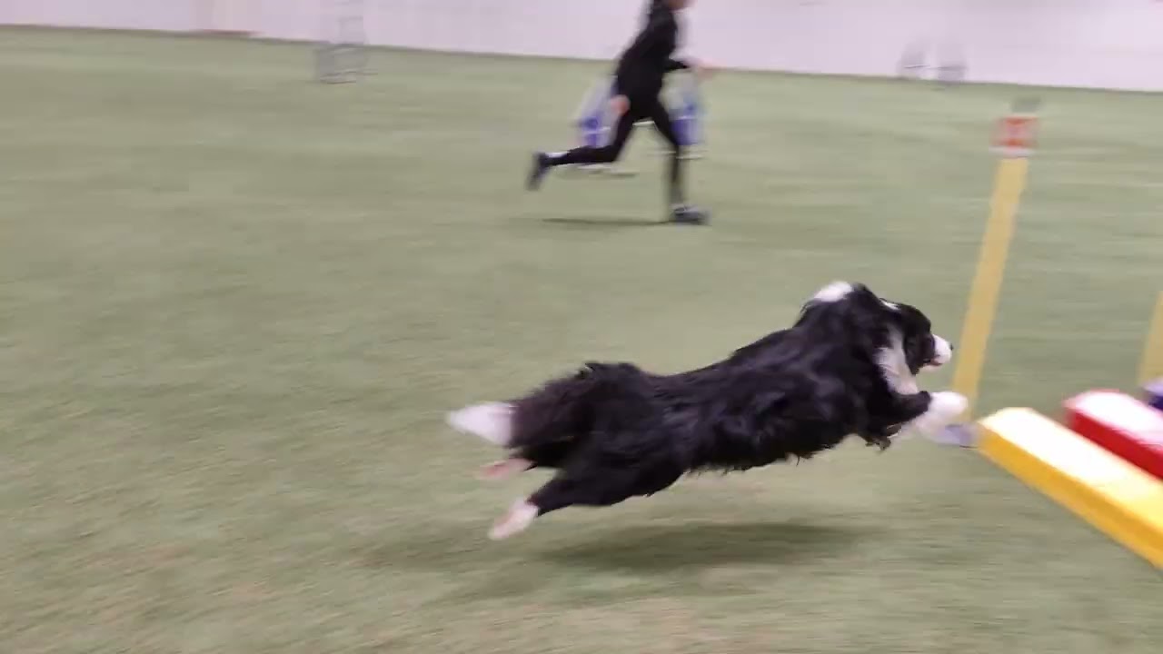 Wade 1lk Janakkala 3.-4.1.26 