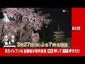 【特番】京都夜桜生中継2024~世界遺産東寺を堪能する夜~(BS11)15秒
