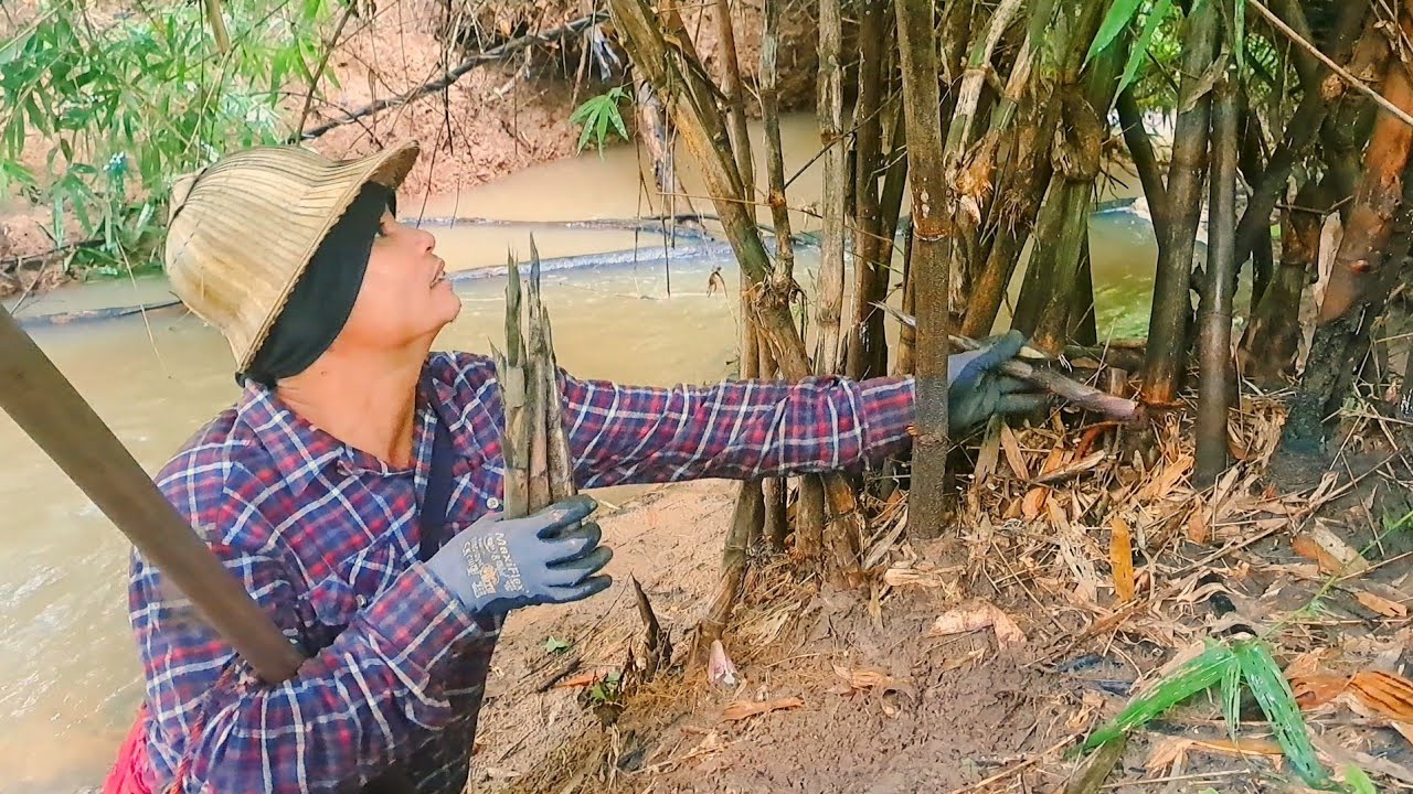 ป้าด..คักขนาด‼️ลุยน้ำหาหน่อไม้‼️เทิงหน่อแหนง..หน่อเฮียว😱😱😱29ก.ย68