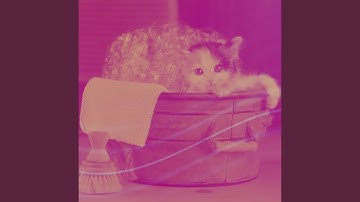 Jazz Quartet Soundtrack for Lazy Cat Days