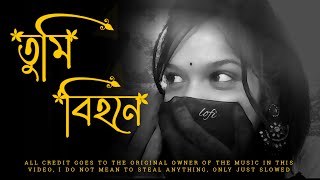 Tumi Bihone | Slowed+Reverb | তুমি বিহনে | Rakib Musabbir | Slowed song | Lofi Song