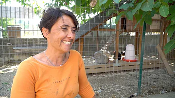 Quanto vivono le galline Mugellesi?
