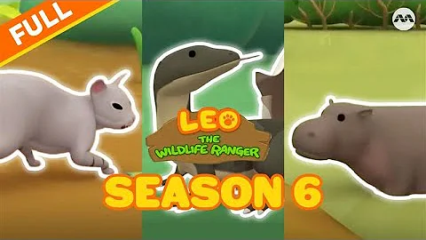 【FULL】🐻BEARS, SNAKES, PYGMYS and more in S6! | Leo the Wildlife Ranger Compilation | Okto #marathon