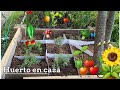 Como crear tu huerto de verduras en casa