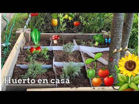 Video: Jardín de verduras con jardinera de ventana: plantación de verduras de jardín con jardinera de ventana