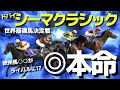 【ドバイシーマクラシック】日本馬ピンチ⁉︎2024年は強力な海外馬集結で頂上決定戦に!