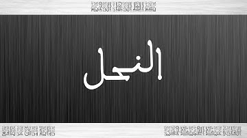016 HD القرآن سورة النحل ورش القارئ عبد الحميد حسين