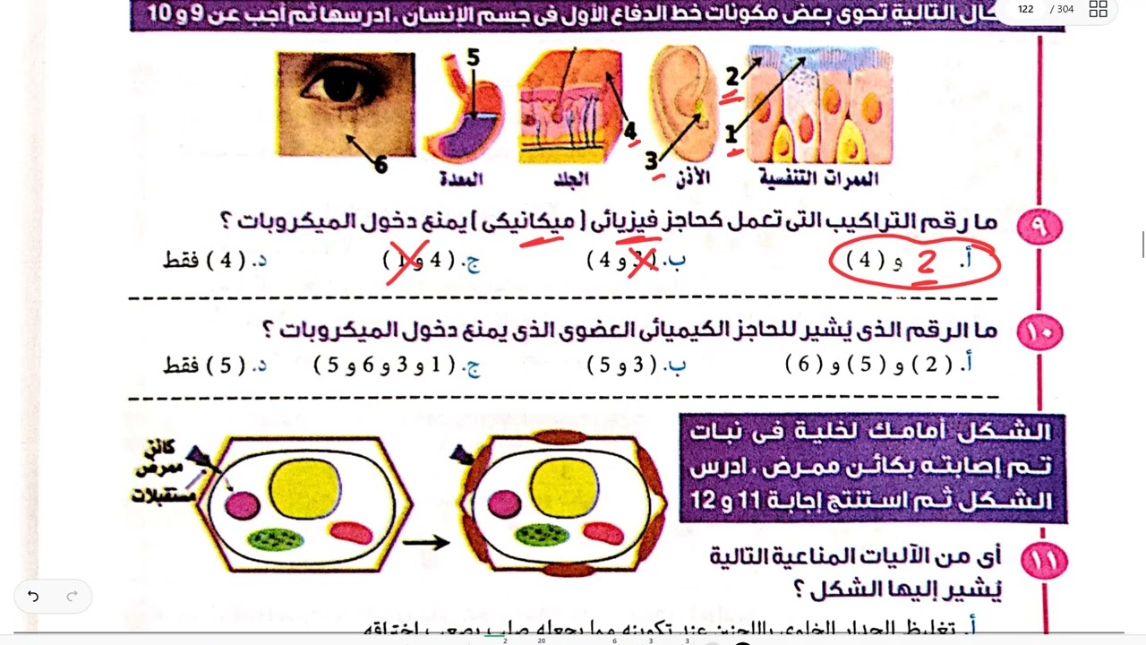 حل الاختبار الثاني (المناعة) - كتاب النفيس مراجعة نهائية - أحياء تالتة ثانوي 2026