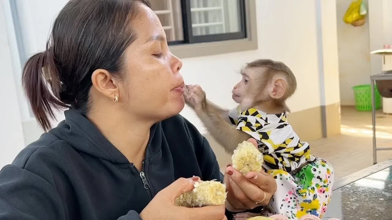 Baby Jelly Attentively Curious To Mom Eating Corn