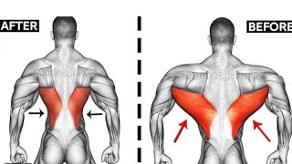 تضخيم وتتطور وتوسيع عضلات الظهر