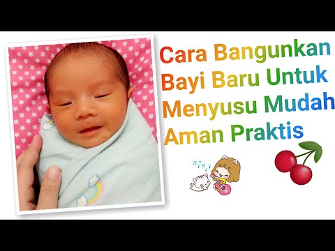 Video: Cara Membangunkan Bayi Yang Baru Lahir