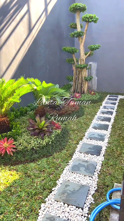 Taman rumah minimalis