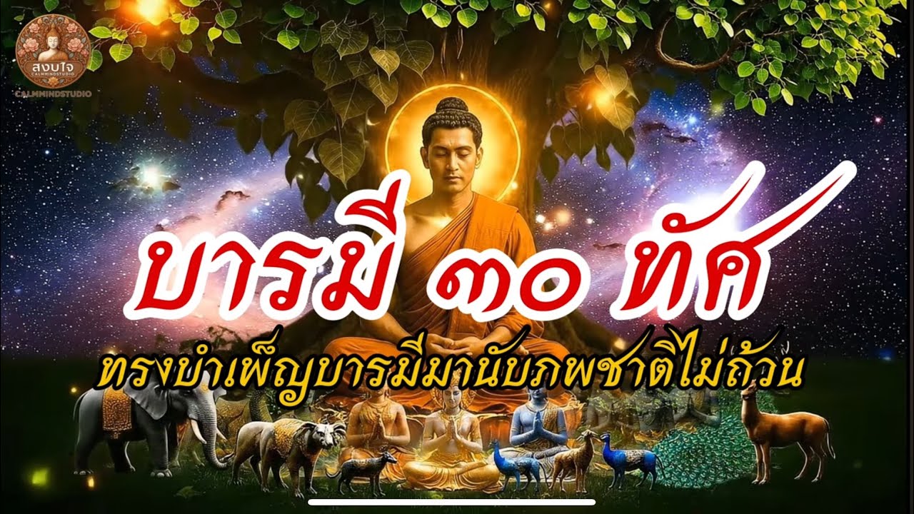 บารมี๓๐ทัศ|ไพเราะมาก|เส้นทางแห่งการสร้างบารมี สู่นิพพาน|ฟังแล้วอิ่มเอมใจที่สุด|เข้าสมาธิได้ไว| 432Hz