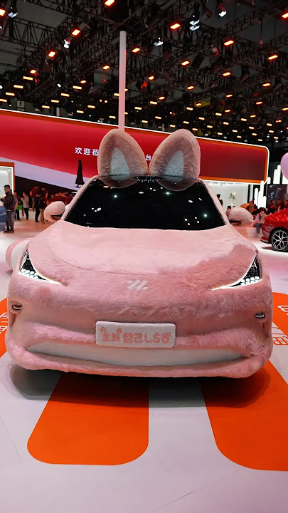 China’s Tesla Model 3 & Y Competitor is HERE!
