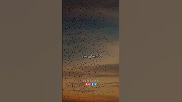 لا تبتئس ربي معك يرعى فؤادك يسمعك بدون موسيقى خاطره 
