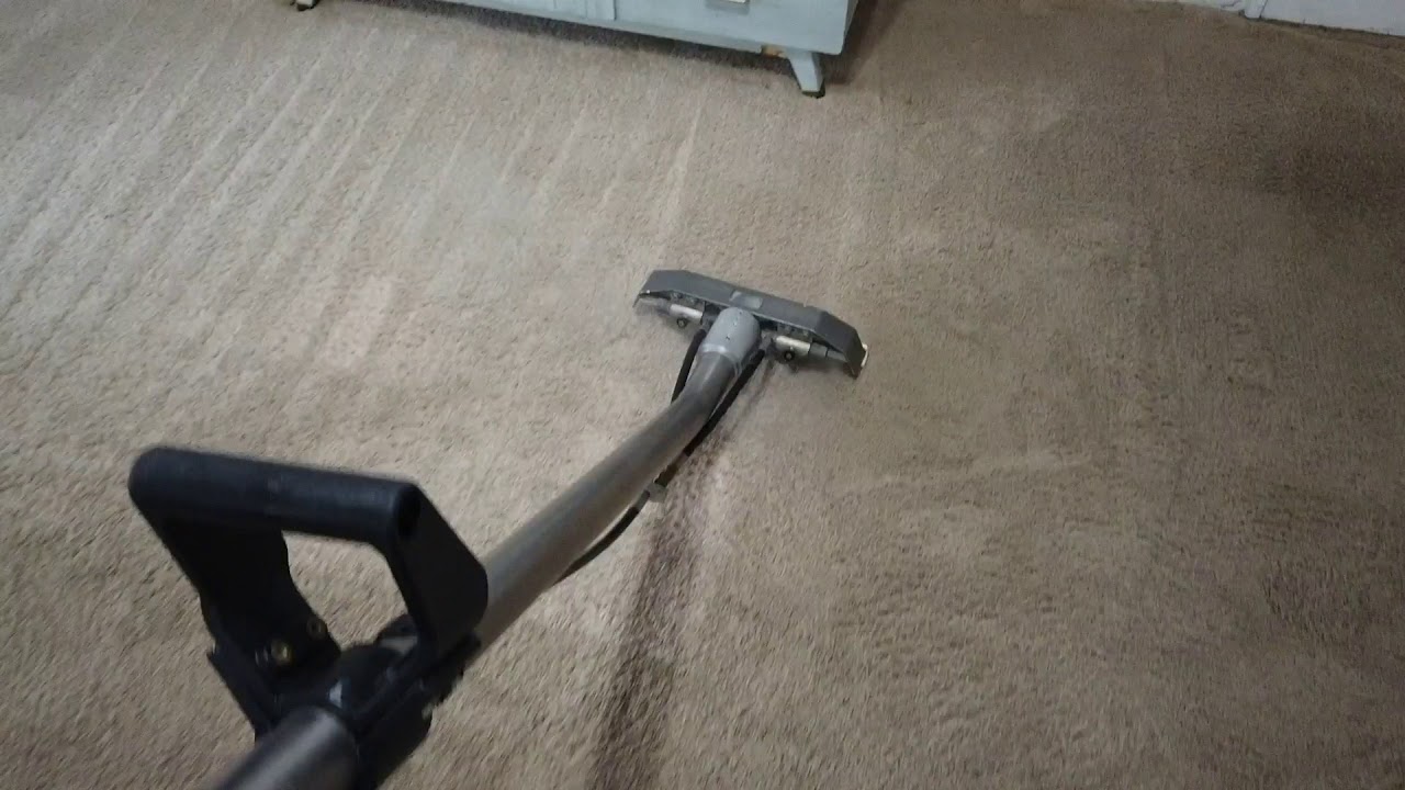 Cleaning carpets full of pet stains YouTube
