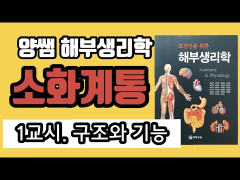 [해부생리학] 1교시. 소화계통 / 구조와 기능