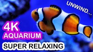 Bedtime music for Kids to fall ASLEEP -  Relaxing Underwater Scenery - NO ADS 1 hour