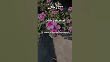 سورة الفلق بصوت إسلام صبحي Surah Al Falaq By Islam Sobhi 
