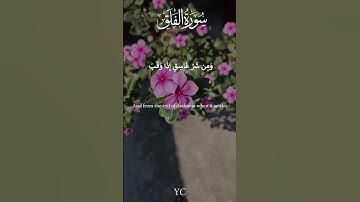 سورة الفلق بصوت إسلام صبحي   | Surah Al-Falaq by Islam Sobhi