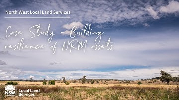 Case study: Regenerative farming to boost biodiversity