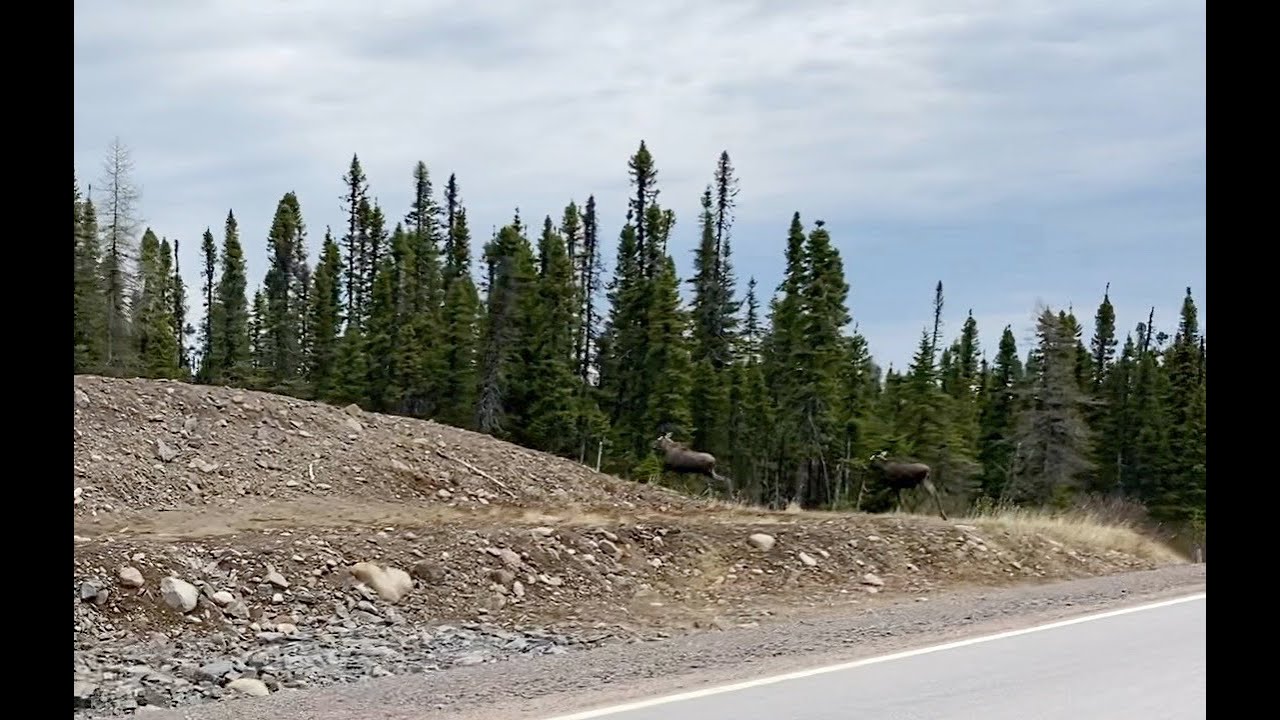 Port Hope Simpson YouTube