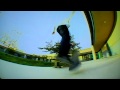 Mike Taylor - In Bloom - HD