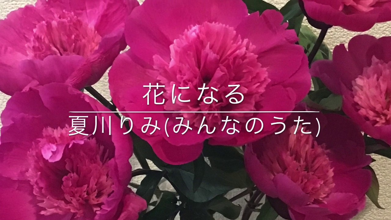 花になる 夏川りみ みんなのうた ピアノ演奏 Youtube
