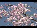 カラーに口紅プロモーション