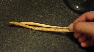Insect Identification Experiment