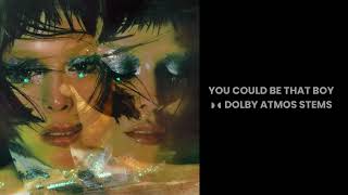 YOU COULD BE THAT BOY (DOLBY ATMOS STEMS) DANNA