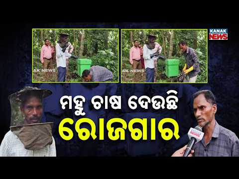 ମହୁ ଚାଷ ଦେଉଛି ରୋଜଗାର | Ganjam Youth Build New Livelihood Through Honey Farming |Odisha Success Story