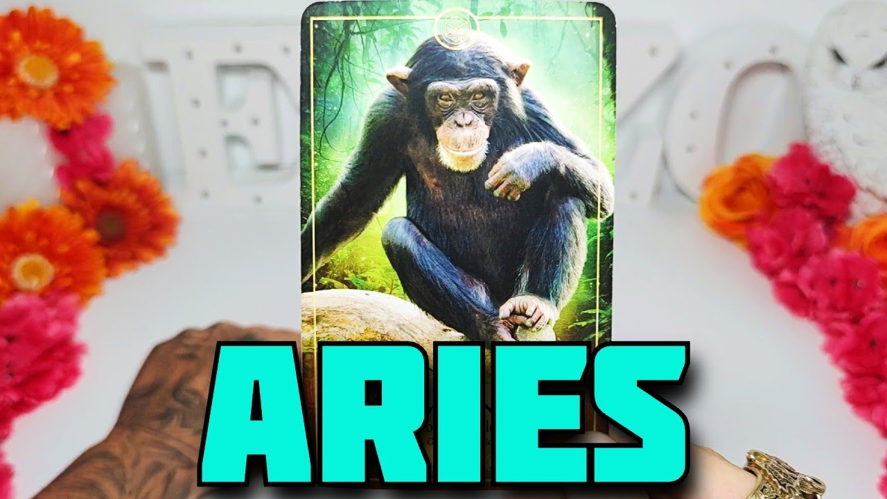 ARIES ♈️ CUIDADO EL 24 SEPTIEMBRE 🔮💀 FALLECE ESTA PERSONA ⚰️ HOROSCOPO ...