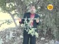 من كنوز الطب النبوي شجرة السدر الجزء الاول ‎.flv