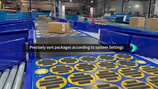 Efficient balance wheel sorting system