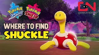 Where to find Shuckle - Pokemon Sword and Shield Wild Shuckle Location