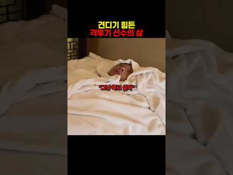 견디기 힘든 격투기 선수들의 삶