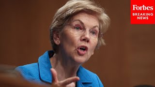‘We Can’t Let Big Tech Hijack Current Trade Negotiations’: Elizabeth Warren