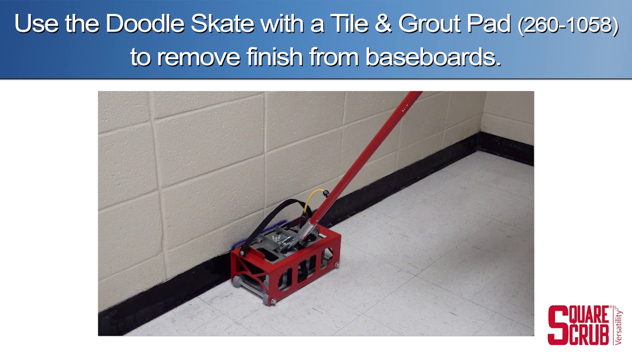 getting out dog urine smell from carpet