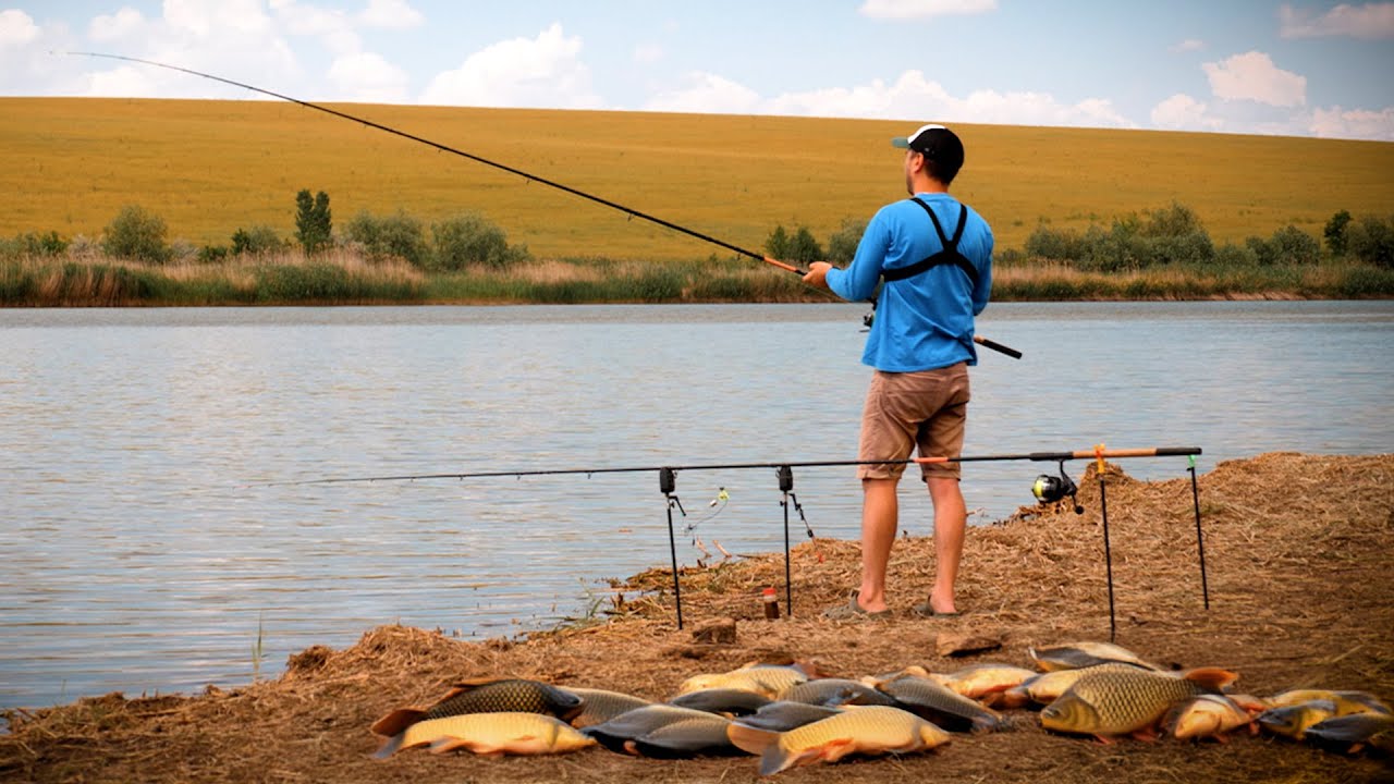 PESCUIT DE SUCCES PE LAC: STRATEGII ȘI MOMELE EFICACE PENTRU CRAP ȘI TEN CU PESCARUL NICOLAE