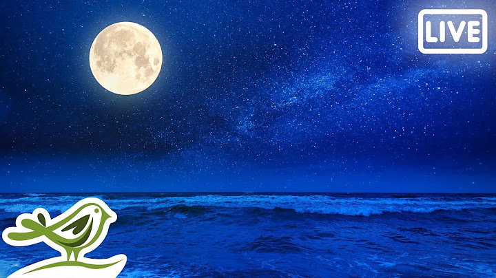 Permanent Link to Relaxing Sleep Music 24/7 • Fall Asleep, Stress Relief, Ambient Meditation Music